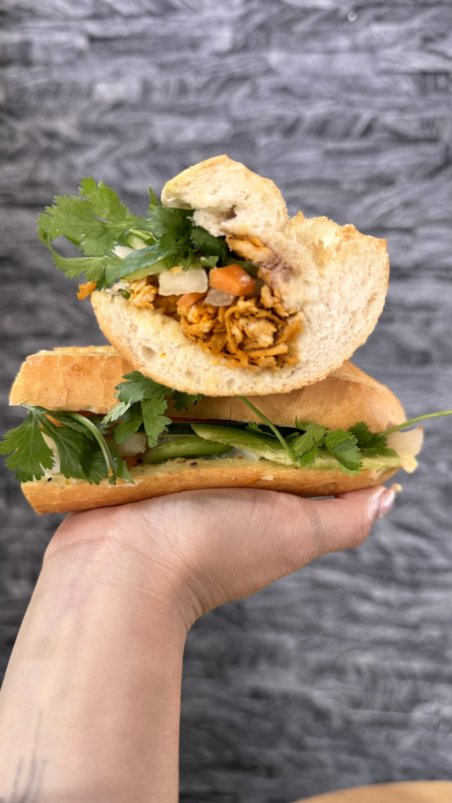 VS14 Shredded Chicken 6 Inches